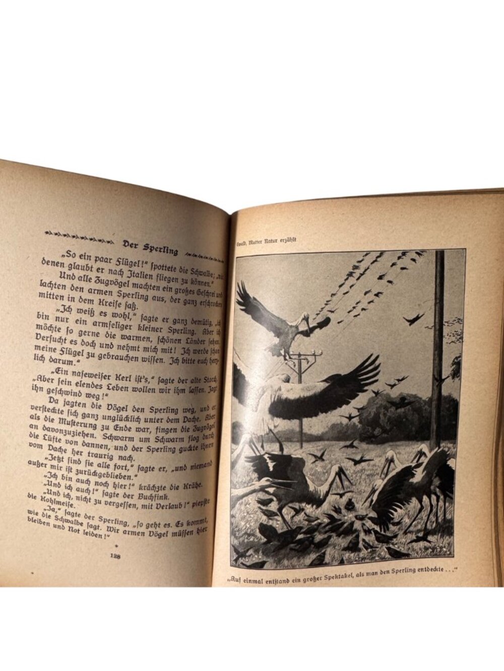 "Mother Nature Tells" By Karl Ewald Hardcover Book German Mutter Natur Erzählt - Picture 10 of 16